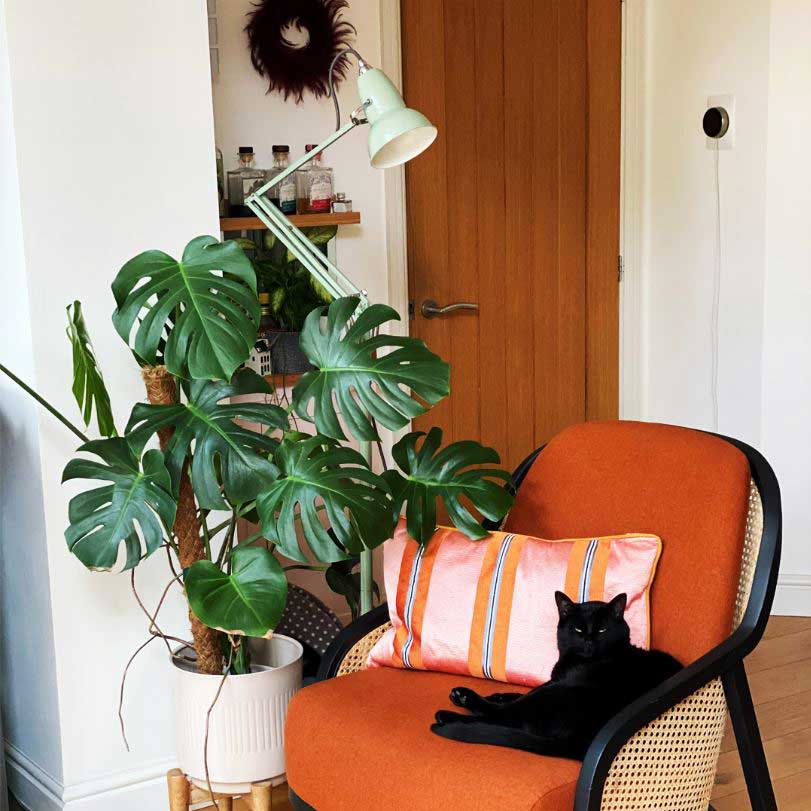 @kintheuk-living-web