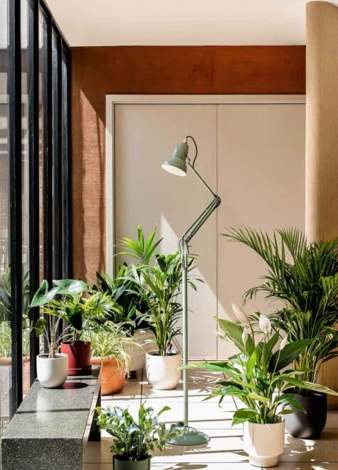 NT_Sage_Green_2021-FLOOR