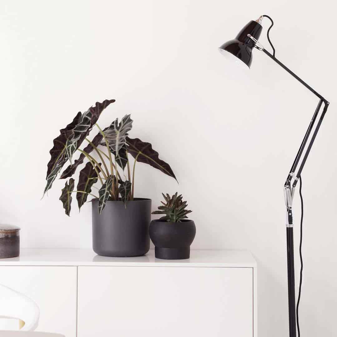 original-1227-floor-lamp-jet-black_4924.LS.SQ.W.S1.UK.1