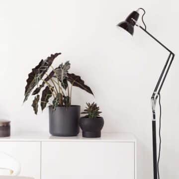 original-1227-floor-lamp-jet-black_4924.LS.SQ.W.S1.UK.1