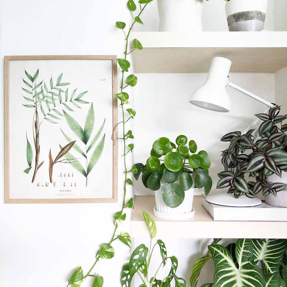 type-75-mini-desk-lamp-alpine-white_4924.LS.SQ.W.S1.UK.3 – Copy