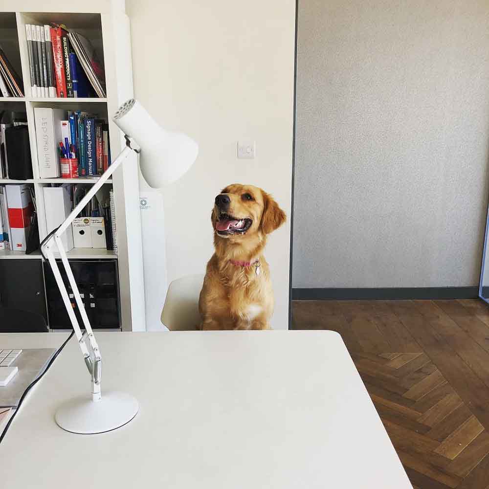 type-75-mini-desk-lamp-alpine-white_4924.LS.SQ.W.S1.UK.4 – Copy