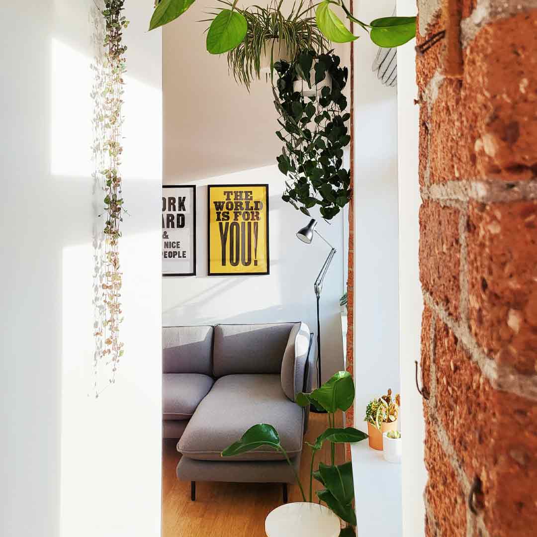 Where-hayley-goes-web